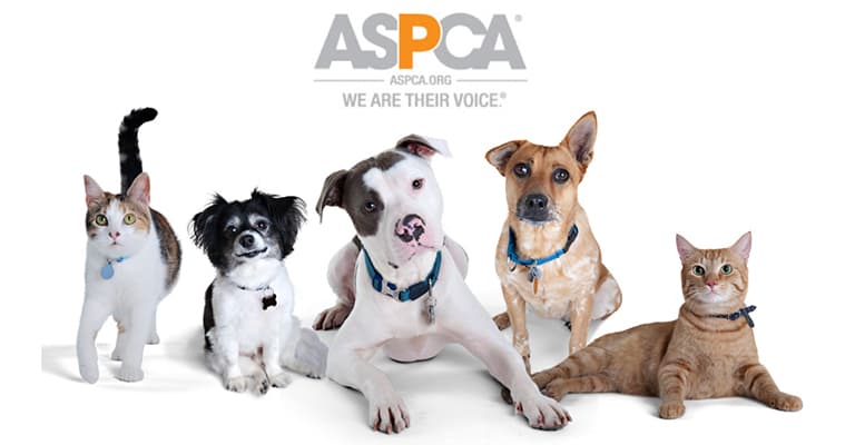 sell your junk car today in my area